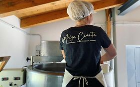 Malga Ciauta
