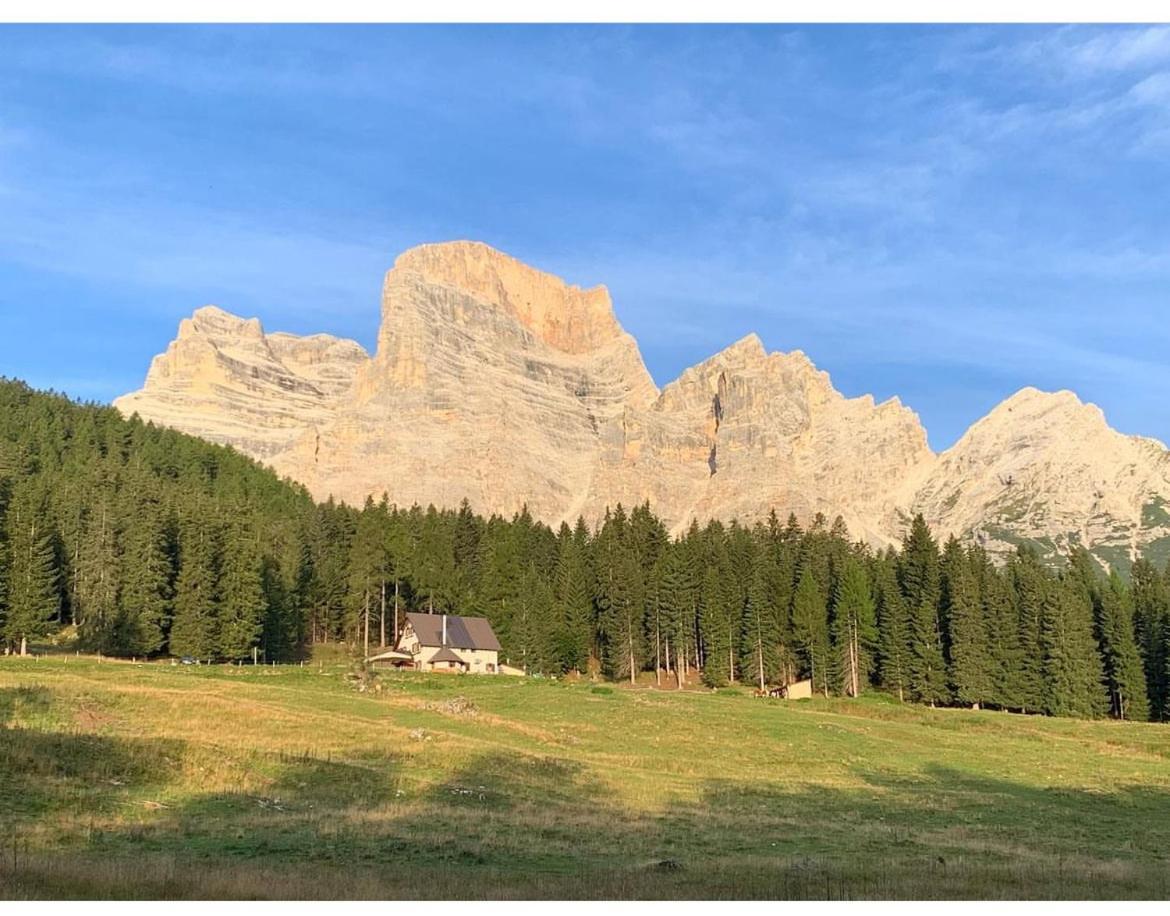 Malga Ciauta Villa Villanova  Esterno foto